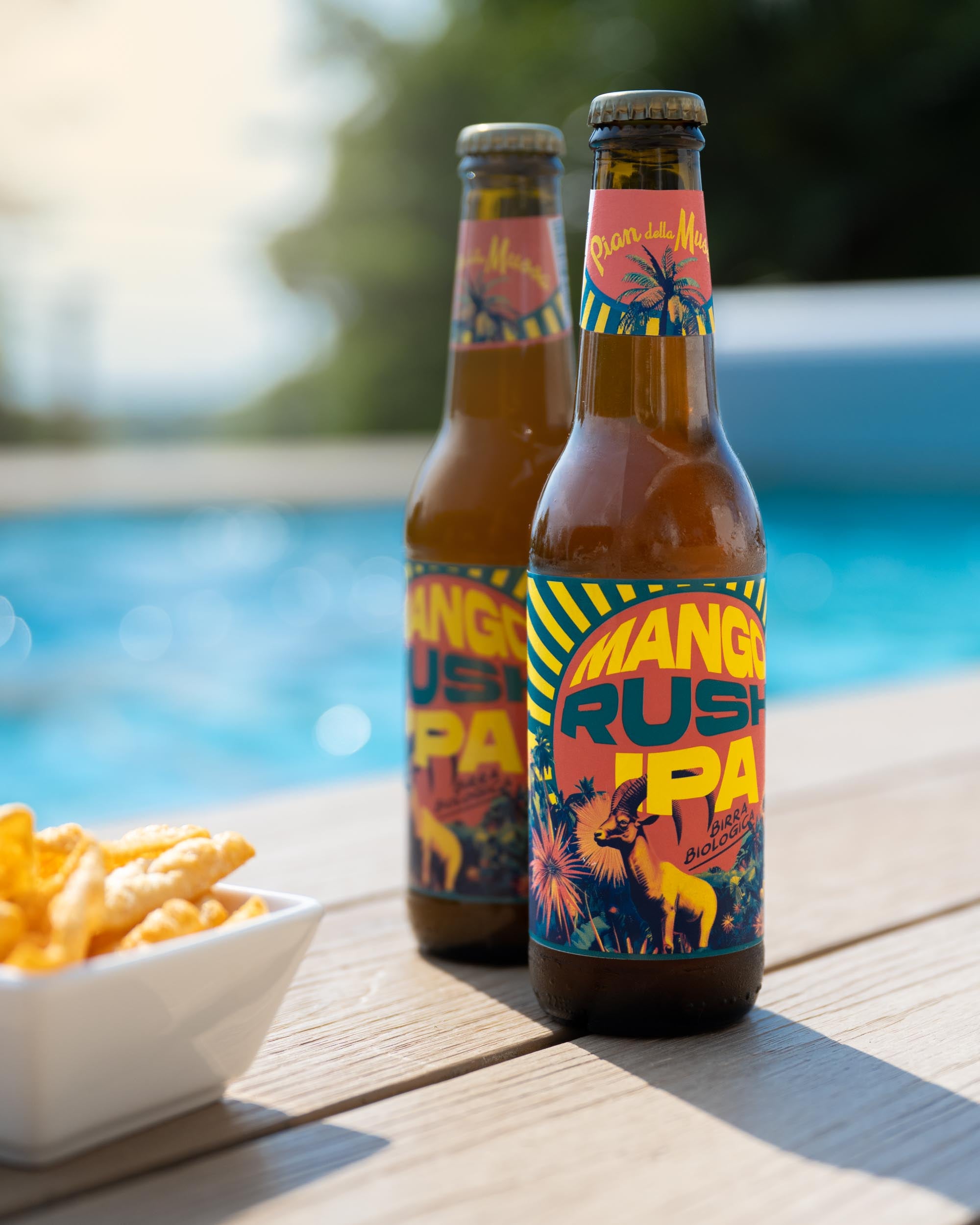 Mango Rush IPA - 6 bottles of 33cl - Pian della Mussa
