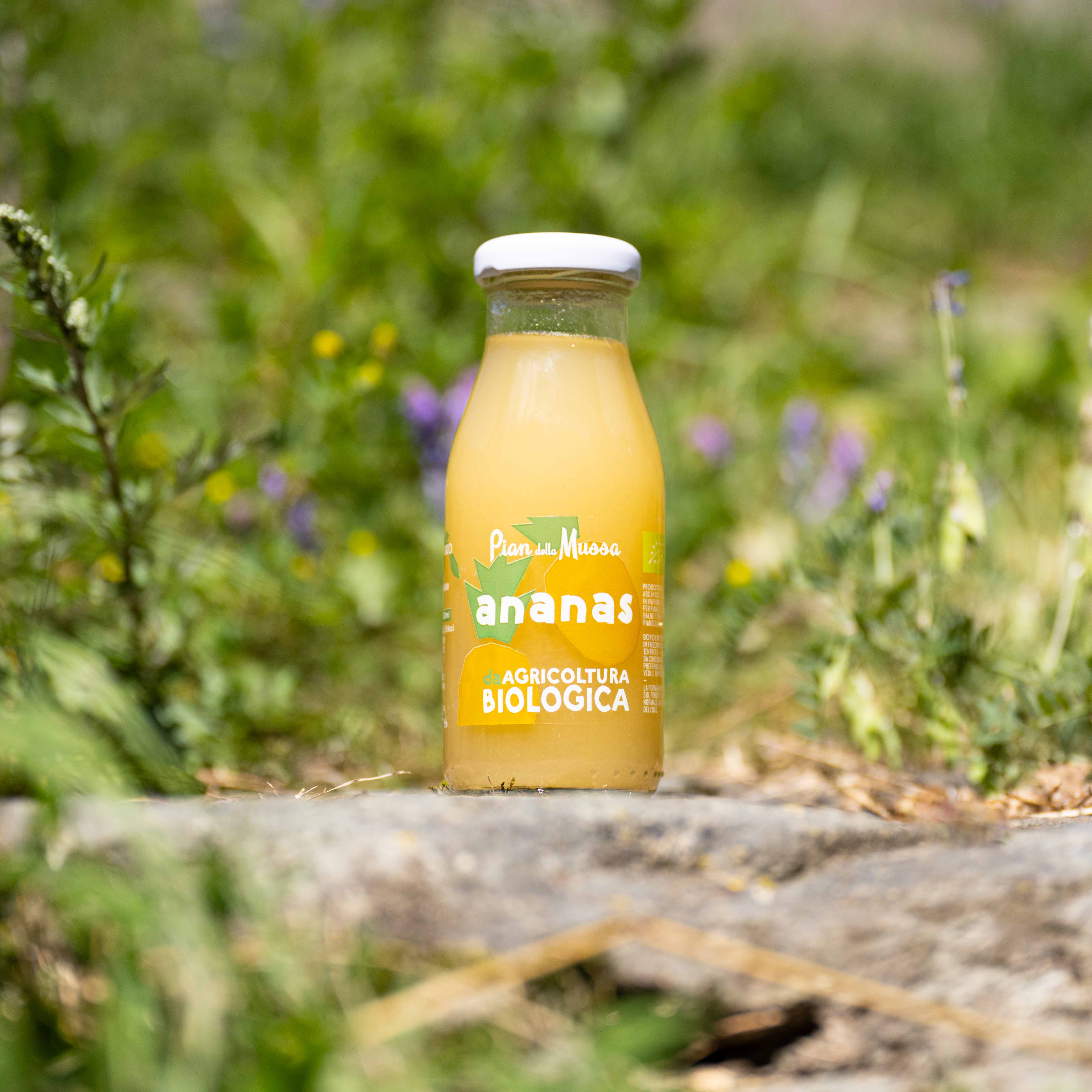 Pineapple Juice - 6 x 200ml Bottles - Pian della Mussa