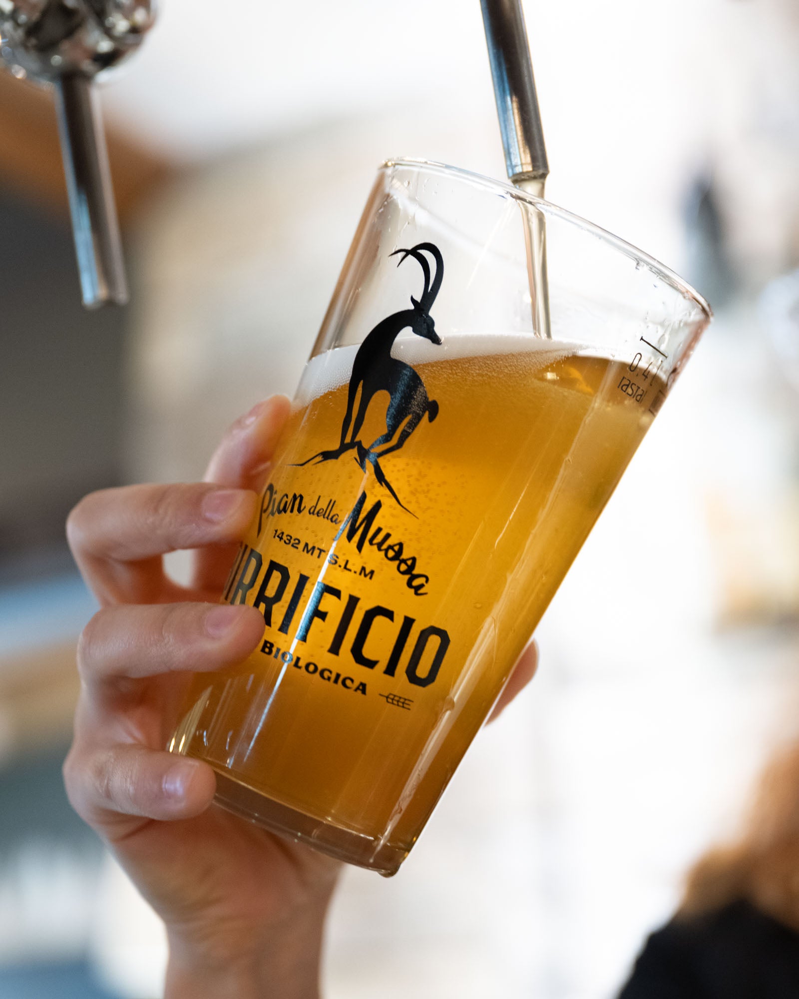 Birra Non Filtrata - 6 bottiglie da 33CL - Pian della Mussa