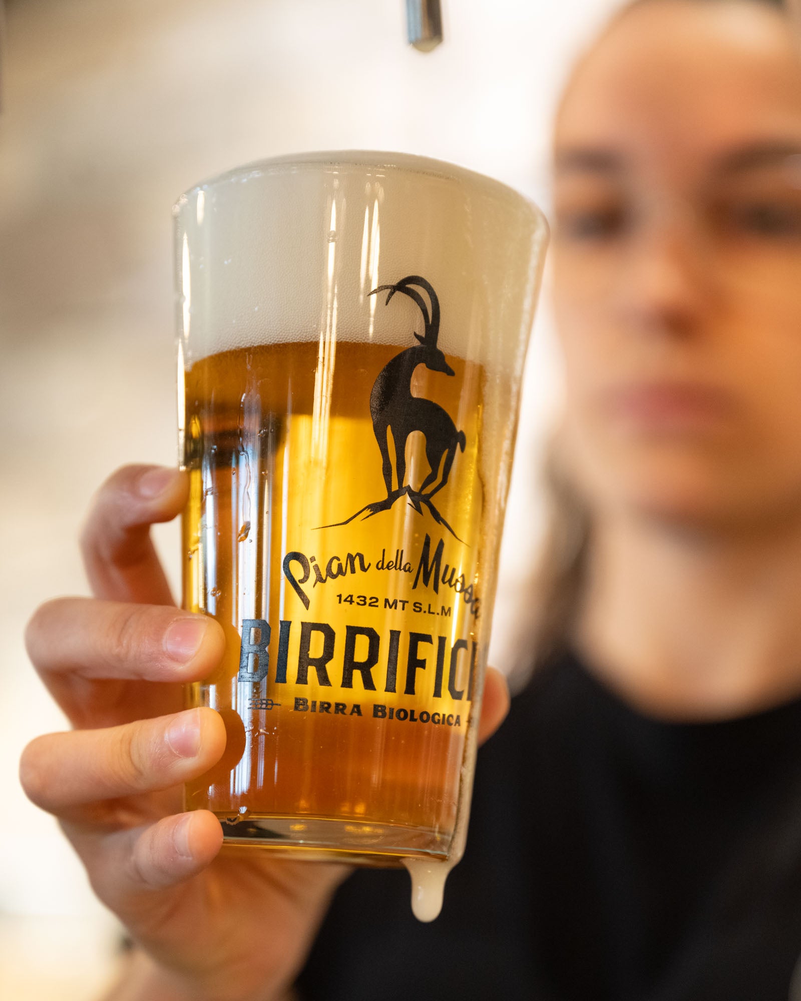 Birra Bionda - 6 bottiglie da 50CL - Pian della Mussa