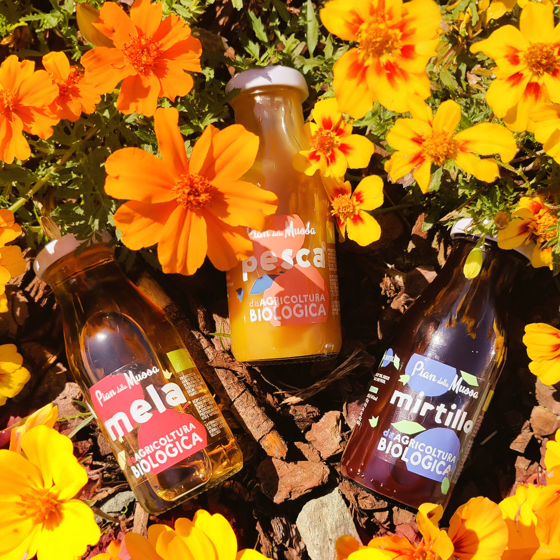 Blueberry Juice - 6 x 200ml Bottles - Pian della Mussa